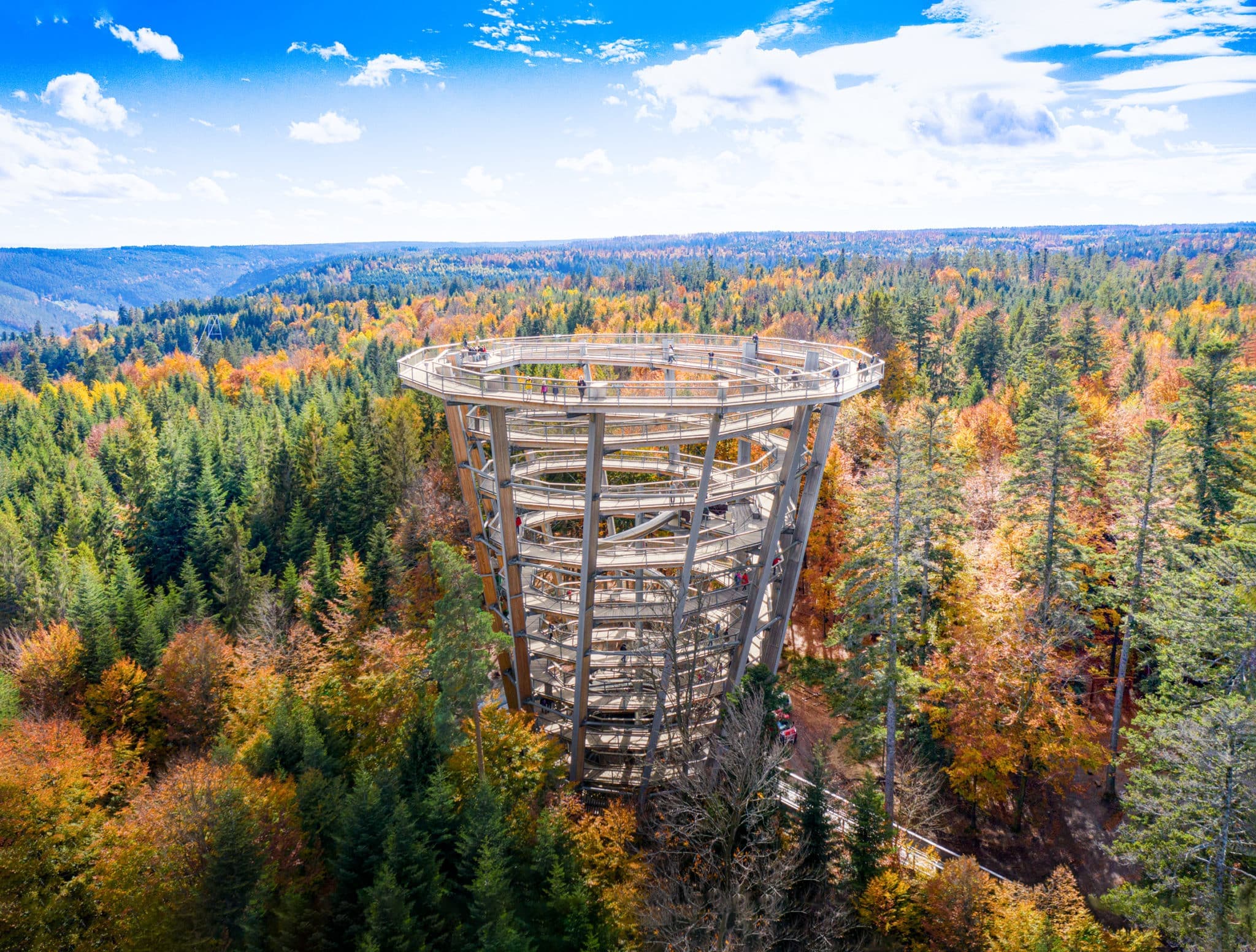Baumwipfelpfad Schwarzwald